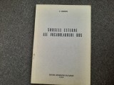 SURSELE EXTERNE ALE VOCABULARULUI RUS SOLOMON VAIMBERG