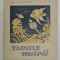 TAINELE MARII de V.G. BOGOROV , 1949