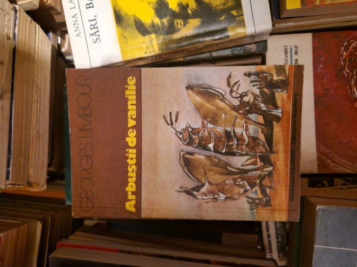Arbuștii de vanilie vintage