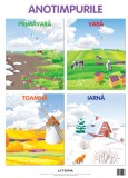 Anotimpurile. Planse educationale |