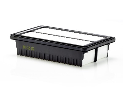 MANN-FILTER C 25 002 Filtru aer foto