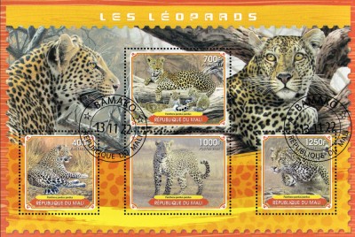 MALI 2022 - Leoparzi / set complet colita + bloc foto