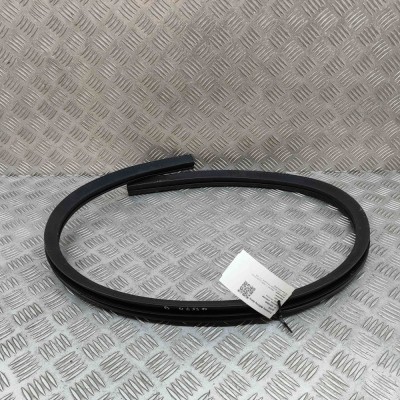 Garnitura ușă dreapta față JAGUAR F-TYPE Coupe X152 2020 OEM: EX53-20708-A foto