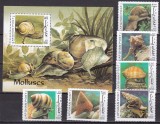 Afganistan 1999 fauna moluste MI 1870-1875 + bl.111 MNH