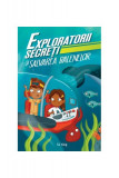 Exploratorii secreți și salvarea balenelor - Paperback brosat - S.J. King - Didactica Publishing House