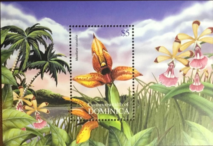 DOMINICA 2004 FLORI ORHIDEE