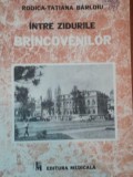 INTRE ZIDURILE BRANCOVENILOR de RODICA TATIANA BARLOIU