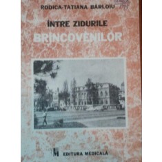 INTRE ZIDURILE BRINCOVENILOR de RODICA TATIANA BARLOIU