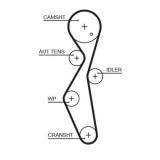 Curea distributie Citroen: C4, C5, Jumper, Jumpy; Fiat: Scudo; Ford: C-Max, Edge, Focus, Galaxy, Kuga, Mondeo, S-Max; Opel: Grandland, Movano, Vivaro