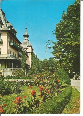 @carte postala(ilustrata)-CALIMANESTI-vedere din parc foto