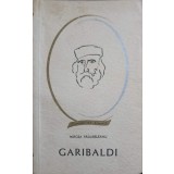 GARIBALDI-MIRCEA PADURELEANU-225073