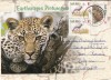 FILATELIE TEMATICA - PLIC AFRICA DE SUD TEMATICA FAUNA LEOPARD, Stampilat