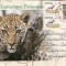 FILATELIE TEMATICA - PLIC AFRICA DE SUD TEMATICA FAUNA LEOPARD