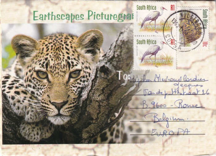 FILATELIE TEMATICA - PLIC AFRICA DE SUD TEMATICA FAUNA LEOPARD