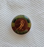 Insigna Scoala de Schi Predeal