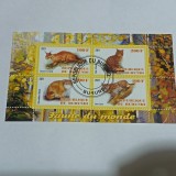 Bloc de 4 timbre &bdquo;Faune du monde - Feline sălbatice&rdquo; emis de Republica Burundi &icirc;n anul 2011 CTO