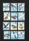 kiribati pasari mnh