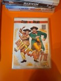 Muzicanții - Stan și Bran DVD