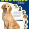 The Dog Breed Bible