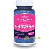 Chitosan 60cps