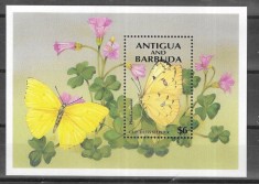 ANTIGUA 1994 FAUNA INSECTE FLUTURI foto