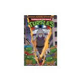 Teenage Mutant Ninja Turtles: Saturday Morning Adventures, Vol. 4
