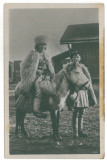 4463 - 15677 ETHNIC, Ciobani, Romania - old postcard - unused