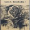 Salut, Basarabia! - Ion V. Stratescu