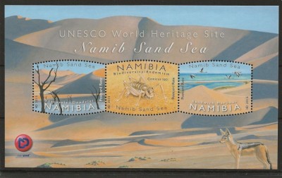 NAMIBIA 2015 DESERTUL NAMIB FAUNA FLORA foto
