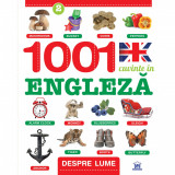 1001 Cuvinte in engleza - Despre lume, Creabooks, Didactica Publishing House