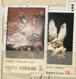 (3) Timbre Serii Romania Flori de mina, Stampilat