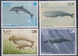 Timbre cu cetacee din Sri Lanka
