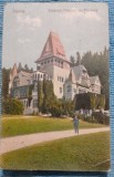 Carte postala, Sinaia, Castelul Pelisor cu Floraria, 1928