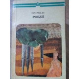 POEZII-ION PILLAT-259119
