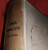 Lumea Animalelor După BREHM anul 1964 compusă din 910 pagini, text, planșe color, desene, fotografii Edmund Brehm Alfred