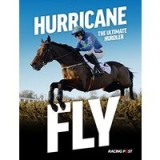 Hurricane Fly