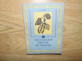 Sa culegem fructe de padure - M.Andrei anul 1969 -Format mic