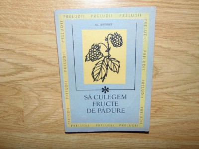 Sa culegem fructe de padure - M.Andrei anul 1969 -Format mic foto