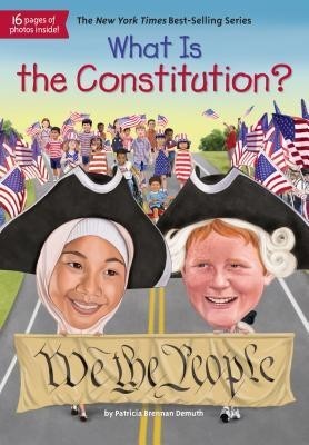 What Is the Constitution? foto