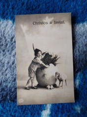 Cărți poștale foto