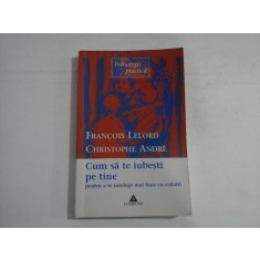 CUM SA TE IUBESTI PE TINE - CHRISTOPHE ANDRE, FRANCOIS LELORD