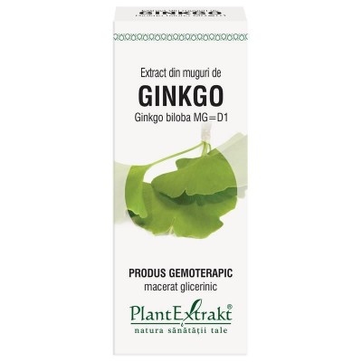 Extract din Muguri de Ginkgo Biloba 50ml PlantExtrakt foto