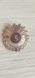 Insigna antrenor emerit