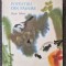 POVESTIRI DIN PADURE - Rudo Moric
