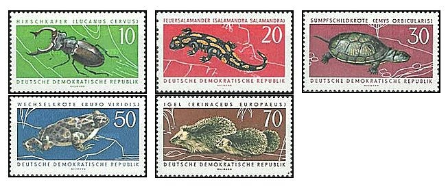 DDR 1963 - Fauna protejata, animale, serie neuzata