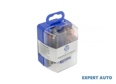 Kit bec de rezervĂ h4 UNIVERSAL Universal #1 foto