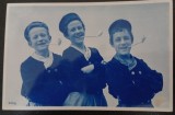 Fotografie tip Carte postala Trei tineri olandezi, 1918