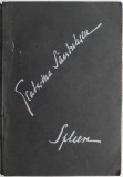 Cumpara ieftin Spleen - Ecaterina Sandulescu - Roman Beletristica