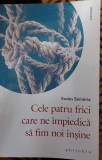 CELE PATRU FRICI CARE NE IMPIEDICA SA FIM NOI INSINE