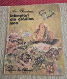 Intamplari din gradina mea Ana Blandiana ilustratii Doina Botez